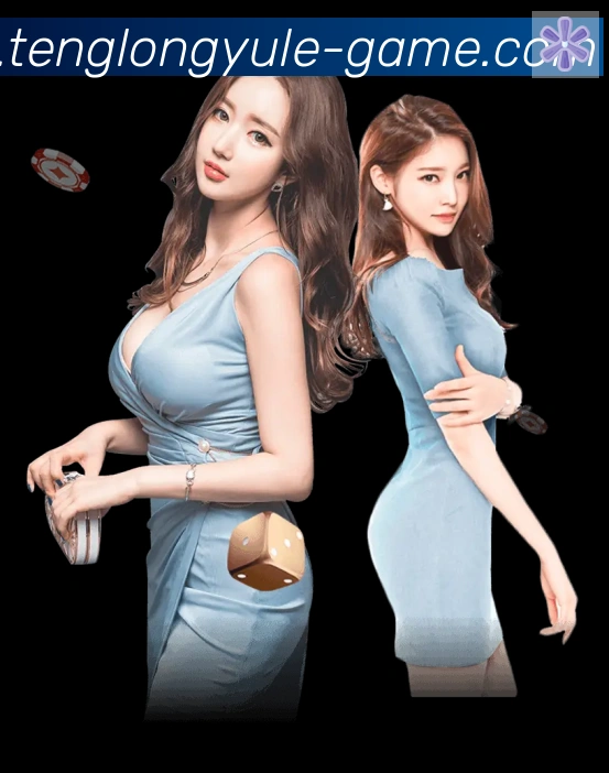 互动解说服务